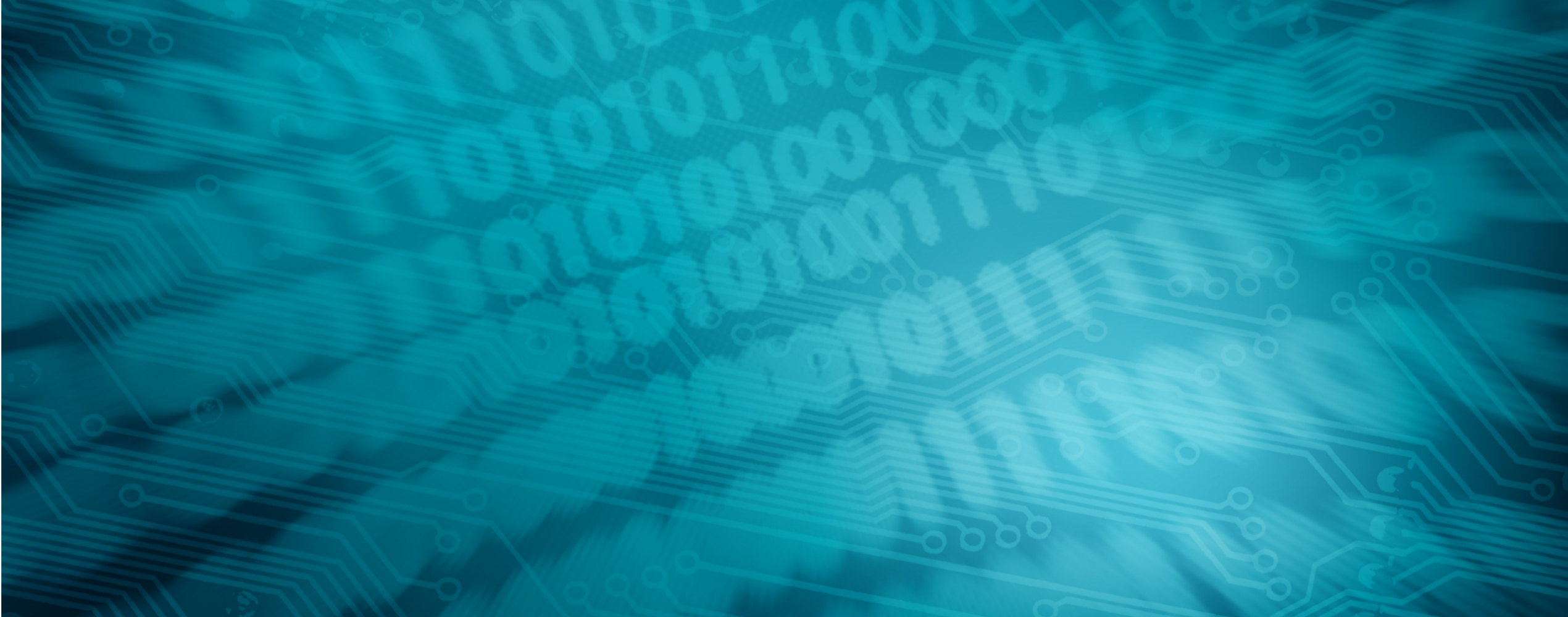 122680835BL_2540x1000