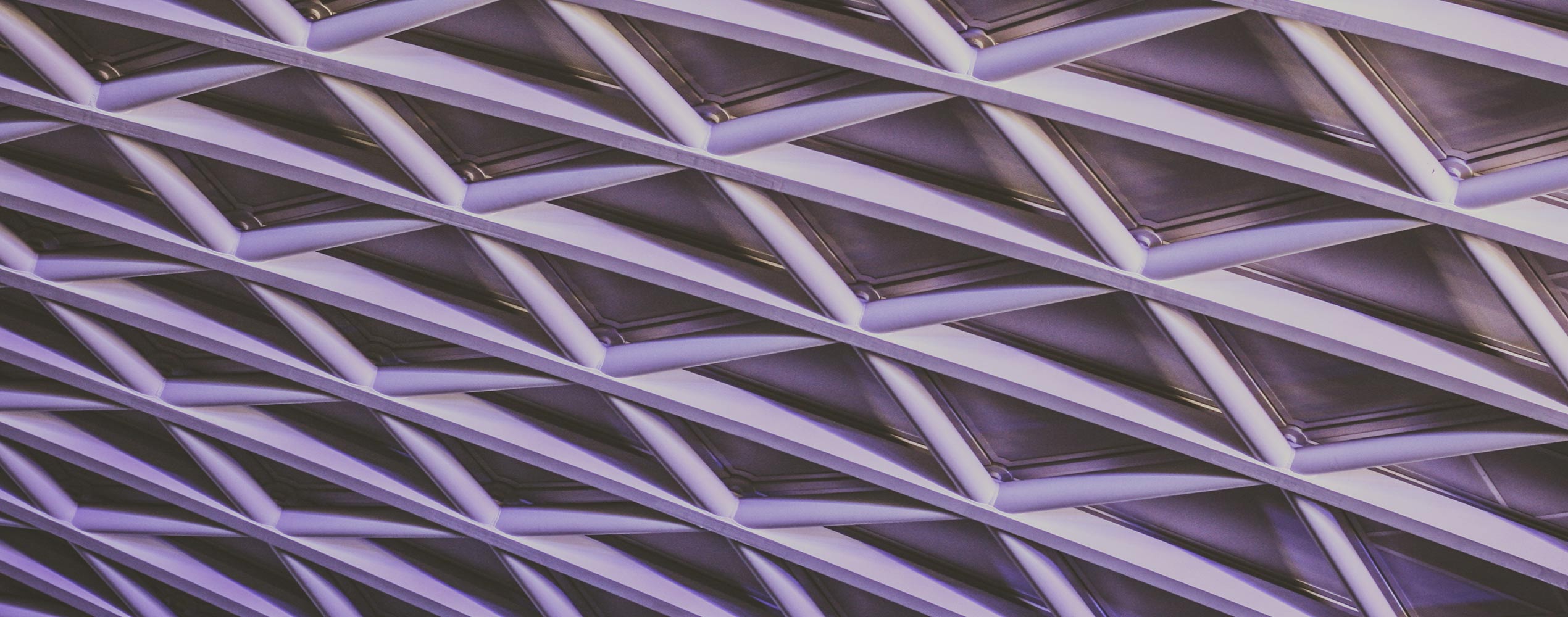 Gitter Netz unsplash