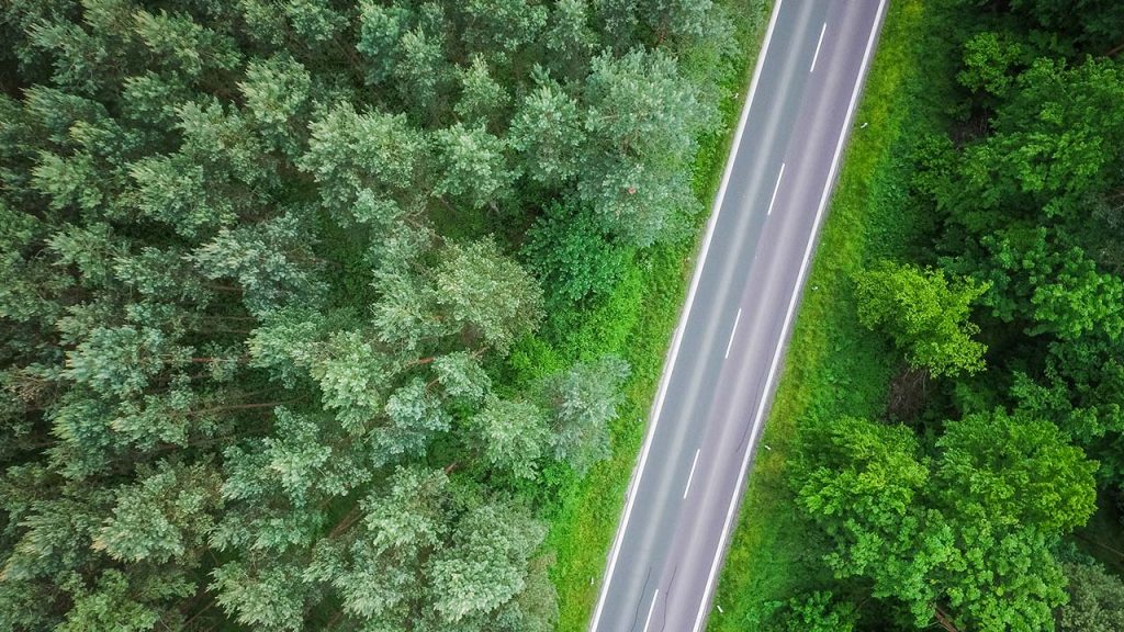 picjumbo Straße Wald