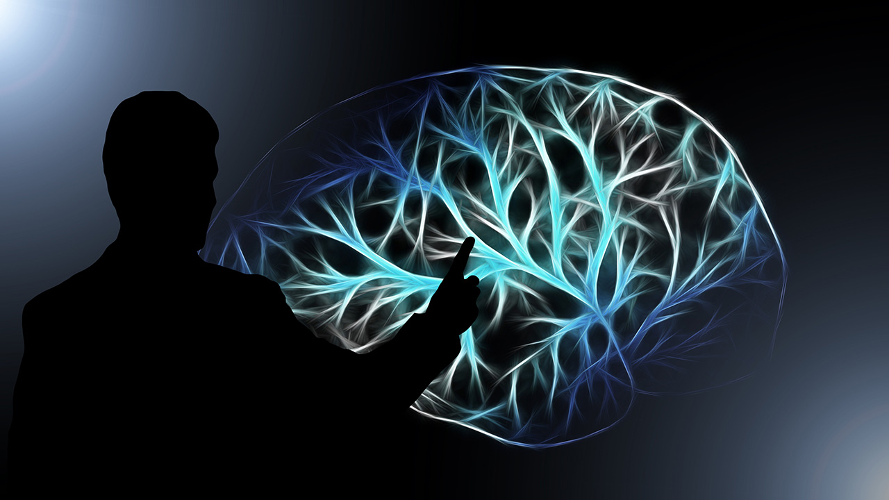 pixabay Geralt Gehirn Vernetzung