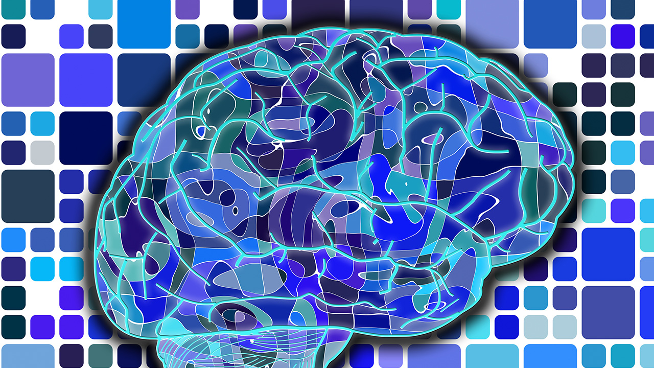 pixabay geralt Gehirn Surreal