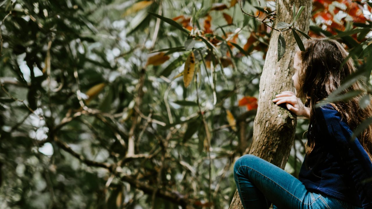 Unsplash-Umwelt-Klimaschutz-Annie-Spratt-2540x1000