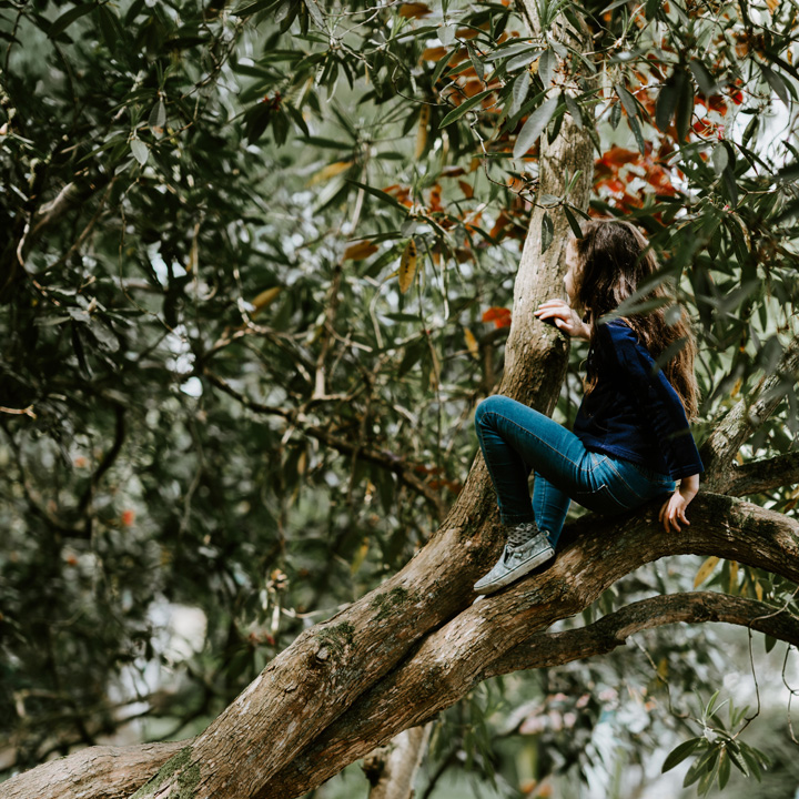 Unsplash-Umwelt-Klimaschutz-Annie-Spratt-2540x1000